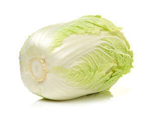 Fototapeta premium cabbage isolated on white background