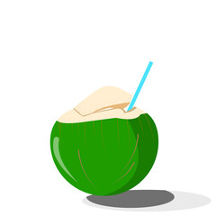 Coconut vector 