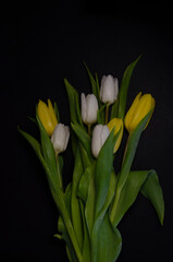 Bouquet of yellow and white tulips on a black background.