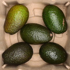 Avocado  background