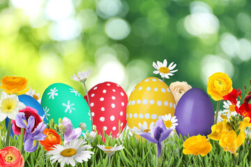 Bright Easter eggs and spring flowers on green grass outdoors