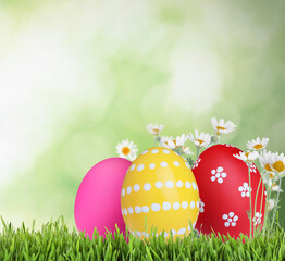 Bright Easter eggs and spring flowers on green grass outdoors
