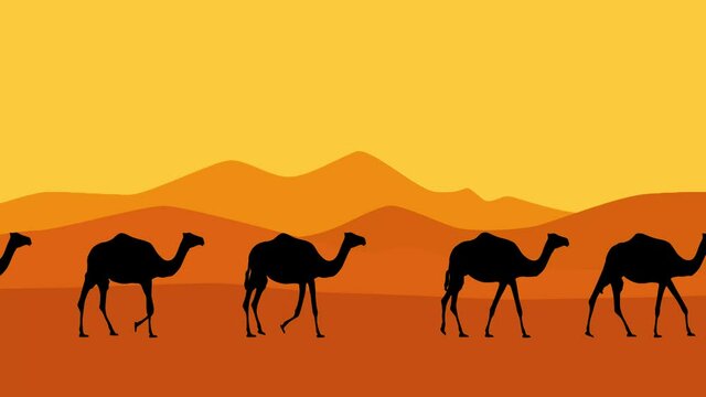Caravan of camels walking in the desert, animation with camels