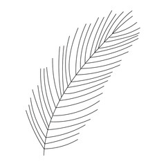 Vector hand drawn plant - leaves Black and white. Template design for sail, wedding save date, envelope, valentine, for party, holiday decor.