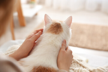 Woman with cute fluffy cat indoors, closeup