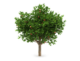 Apple tree isolated on a white background. 3 d illustration.