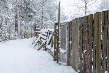 Wooden fence in a snowy forest