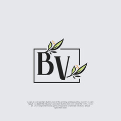 Initial letter BV beauty minimalism logo vector