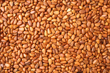 Pine nuts background 