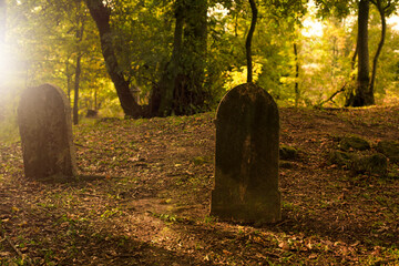 Gravestones  in ancient graveyard.