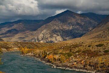 Russia. Gorny Altai. Picturesque autumn on the Katun River near the village of Maly Yaloman.
