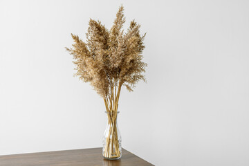 Dry reeds pampas grass in glass vase on light gray background, wooden table