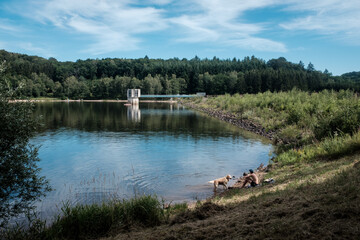Lac des Settons
 en Bourgogne
