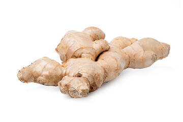 Fresh ginger root rhizome with shredded ginger on white background