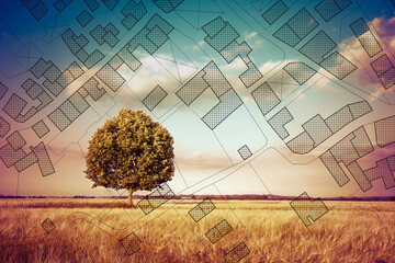 Cadastral map with a lone tree on a rural scene - concept image