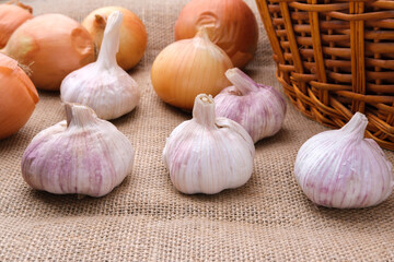 Garlic and onion bulbs lie next to the basket. The items are arranged on a sackcloth fabric with a good texture. Organic products from our own garden.