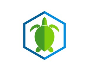 Hexagonal shape with green turtle inside