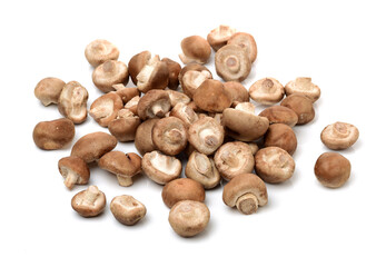 Shiitake mushroom on the White background 