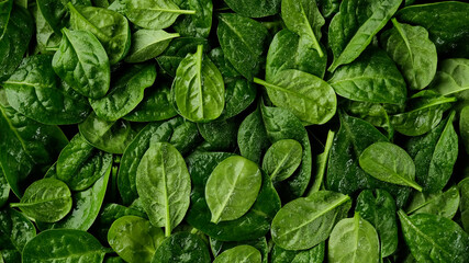 fresh spinach leaves top view