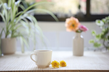 white cup with yellow chrysanthemum flowers