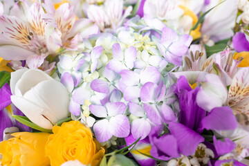 Mixed colorful flowers background. Vibrant colors of mixed flowers backdrop