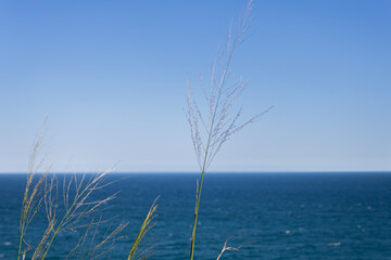 View of the beach, sea, ocean, blue sky