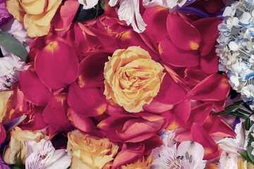 creative layout with flowers and petals of roses. spring concept