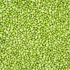 Green soy beans on white background 