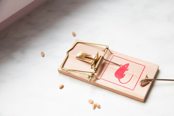 Mousetrap with wheat on it. White background. Mousetrap with a painted red mouse. Food for mice. Closeup