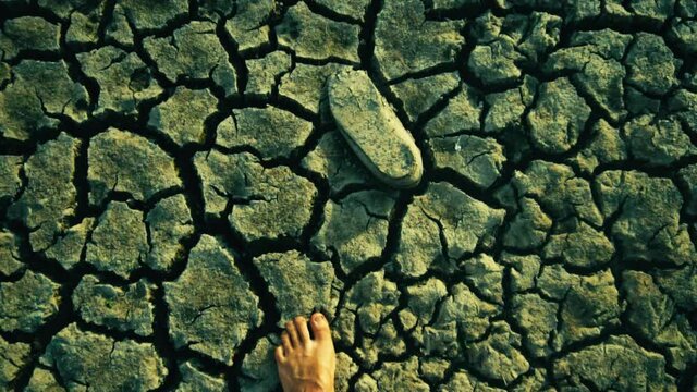 man walk barefoot on dry cracked mud ground of a lake that has dried up due to a drought from climate change and global warming
