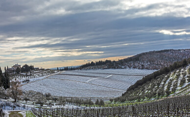 Vigneti innevati