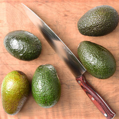 Avocado  background