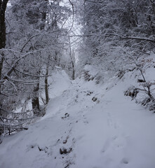 Winterwanderung auf den Friedenrath