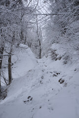 Winterwanderung auf den Friedenrath