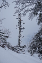 Winterwanderung auf den Friedenrath