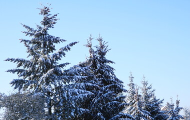 Winteridylle