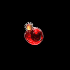 Progenitor cell being invaded by coronavirus, covid-19 proteins matching with progenitor cells in bronchial infected with virus