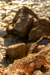rocks on the shore of the beach with sea waves in the background at sunset