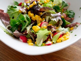 Leckerer frischer Blattsalat mit Radieschen und Mais
