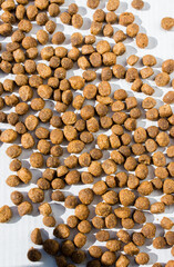 Cat food pieces scattered on the white surface