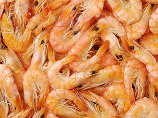 close up of shrimps