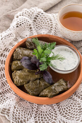 Dolma grape leaves with sauce on a clay plate on the table