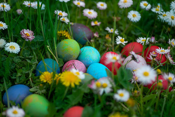 Fototapeta na wymiar Easter decoration eggs in the garden outdoor