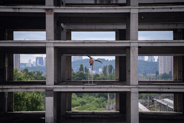 Flexible male circus Artist keep balance by one hand in the concrete structure. Individuality, outstanding and originality.