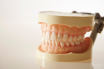 Image of dentures on white background