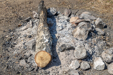 Gray and brown big stones and birch trunk for a bonfire are in a fireplace in the forest