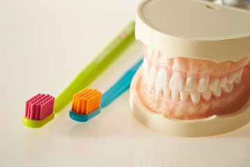 Denture prosthesis and various toothbrushes 