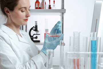 The laboratory assistant makes bacteriological inoculation in a petri dish with a glass stick.
