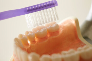 Image of brushing dentures with a toothbrush 