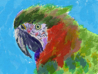 parrot sketch painting